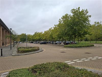 Picture 9